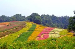 石象湖风景